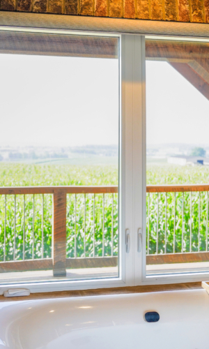 Bathroom Window Encasement