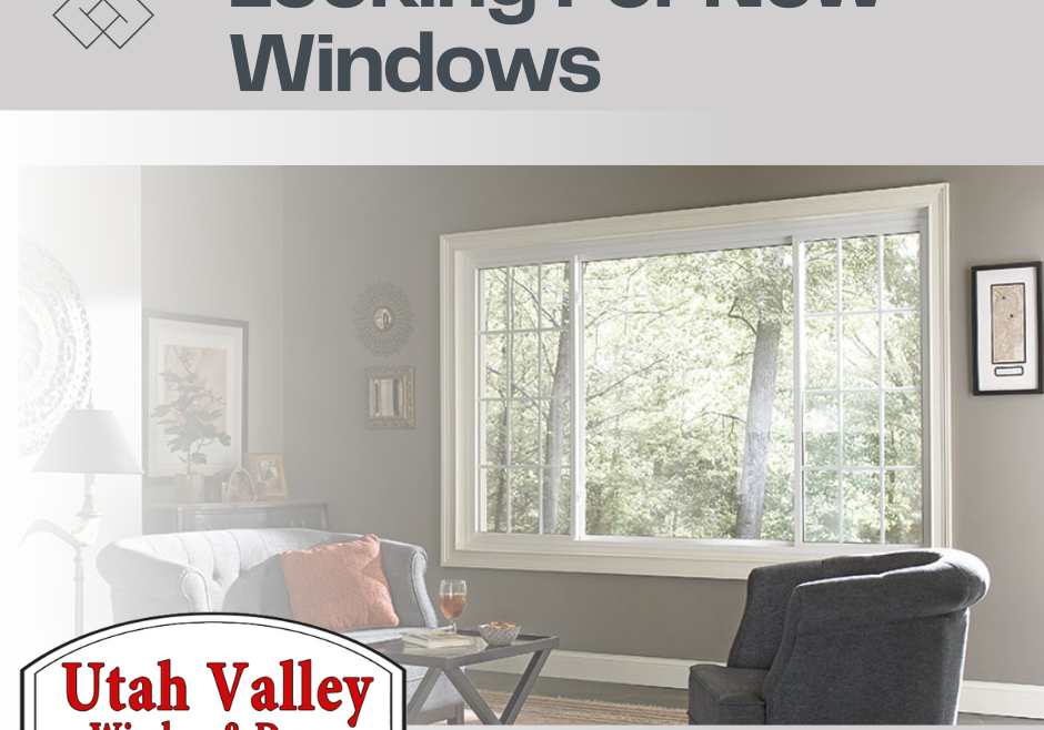 Looking For New Windows