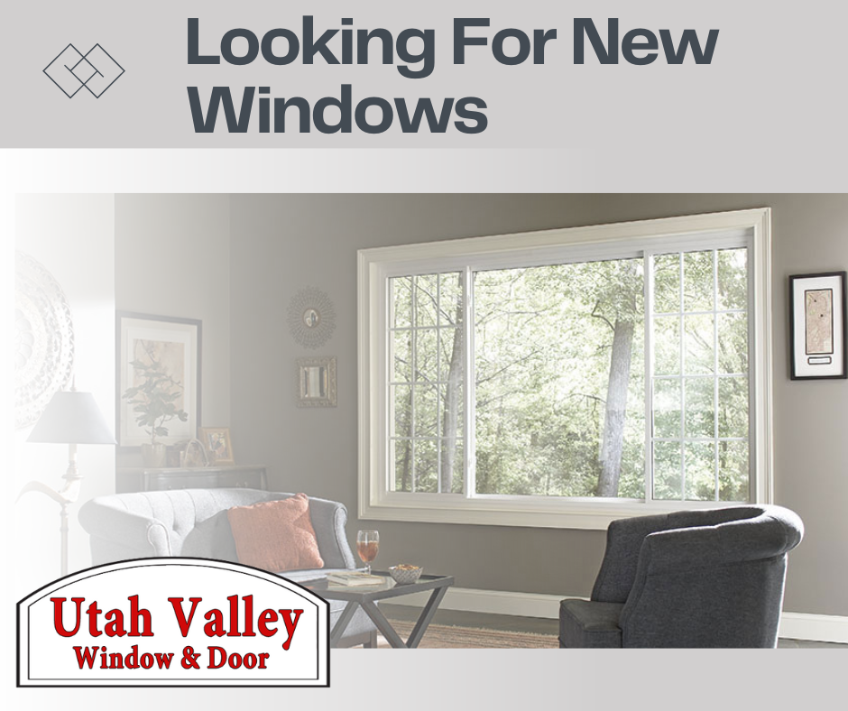 looking for new windows