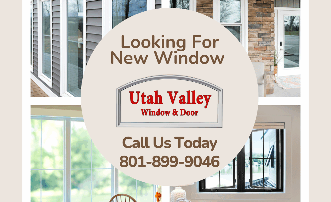 Window Design Trends