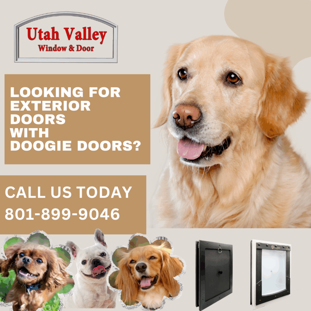 Available pet doggie doors for your new entry doo