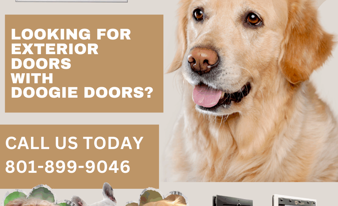 Exterior Doors With Doggy Doors