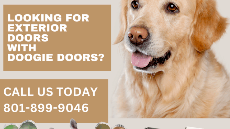 Exterior Doors With Doggy Doors