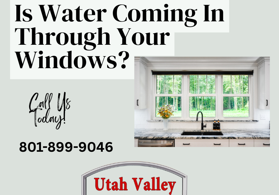 Is Water Coming In Through Your Windows?